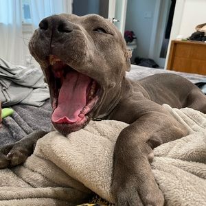 Meet your Posher, Maria